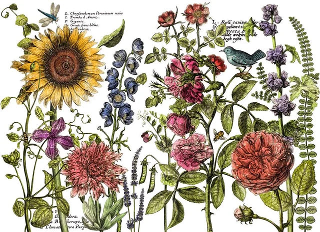 Botanist's Journal IOD Transfer 12x16 Pad