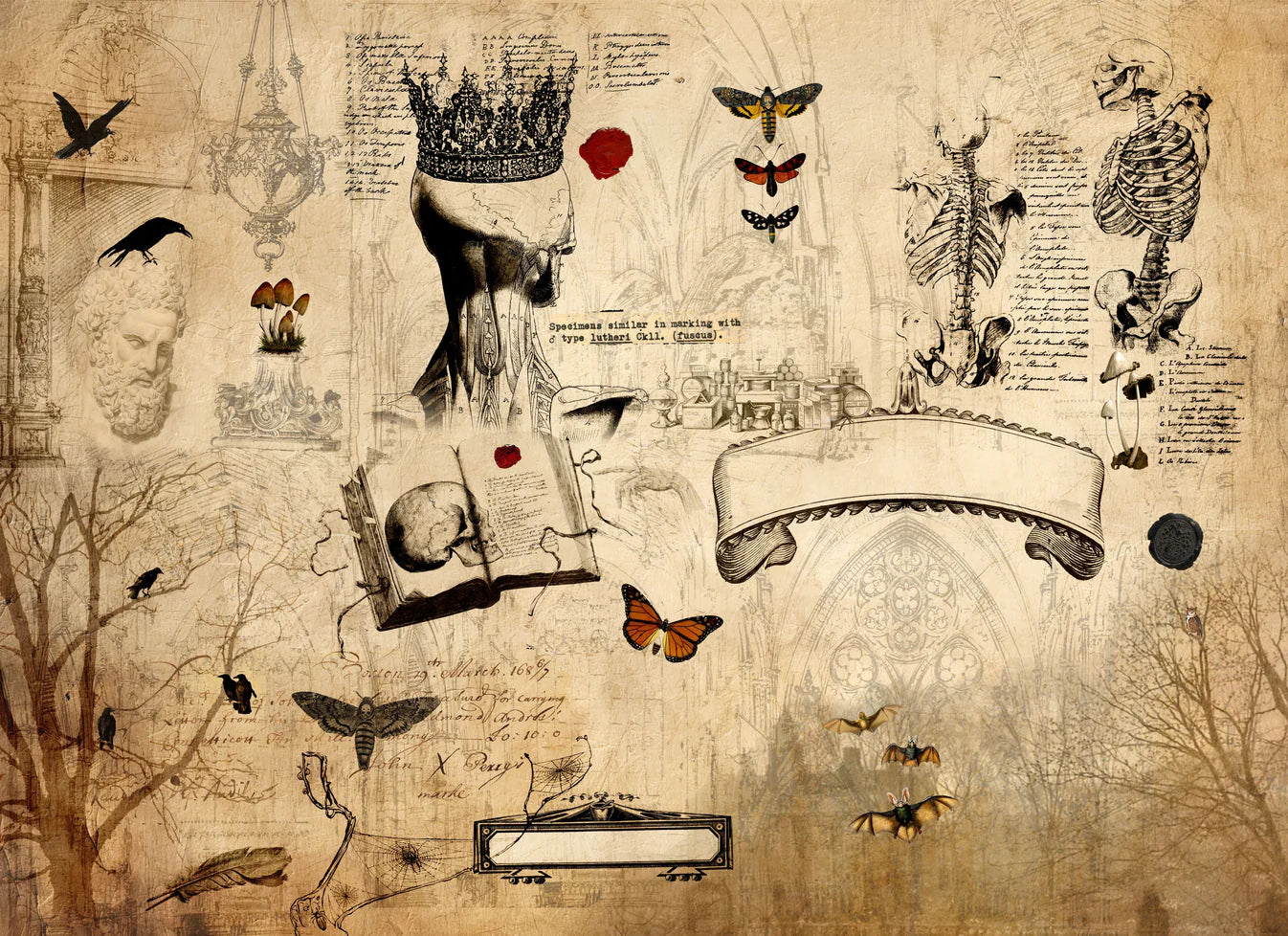 Dark Academia (Copy)